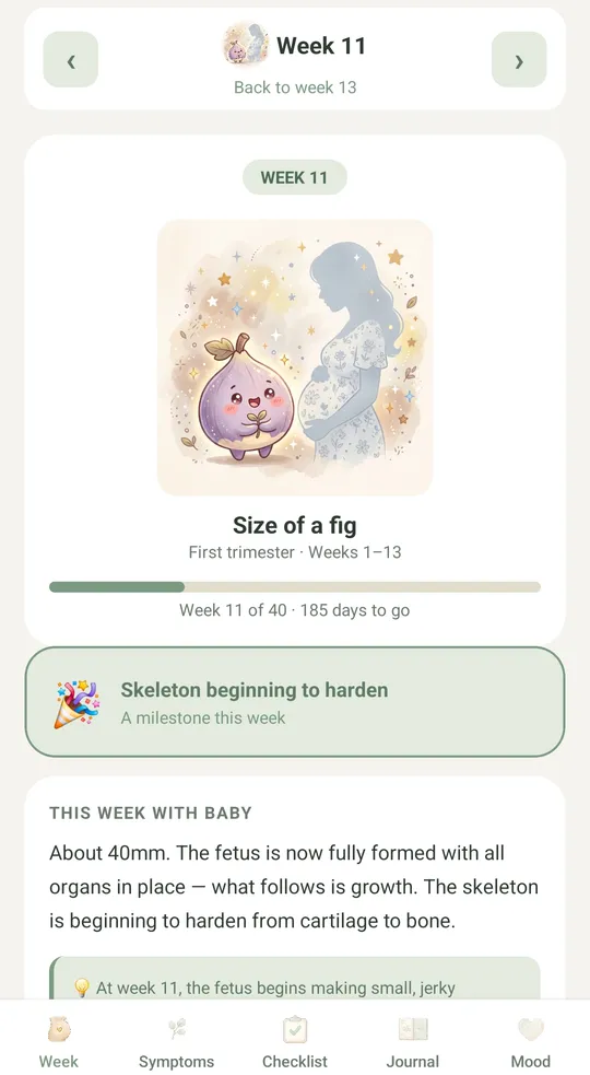 Your pregnancy, week by week: the week 11 screen with a watercolor fig and baby development notes